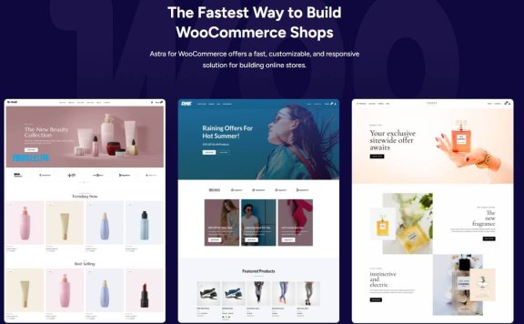 Astra PRO主题插件破解版：极速、轻量、可扩展的WordPress专业主题推荐